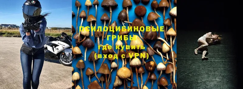 Псилоцибиновые грибы прущие грибы  магазин продажи наркотиков  Хотьково 